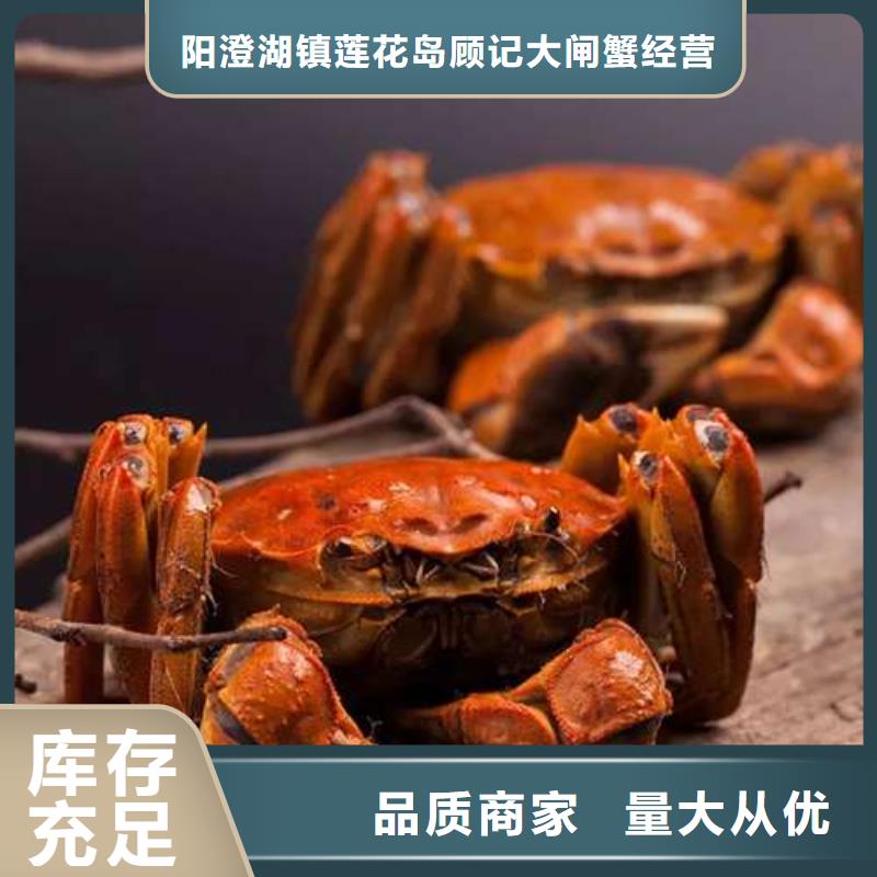 清遠(yuǎn)市鮮活陽澄湖螃蟹禮卡銷售