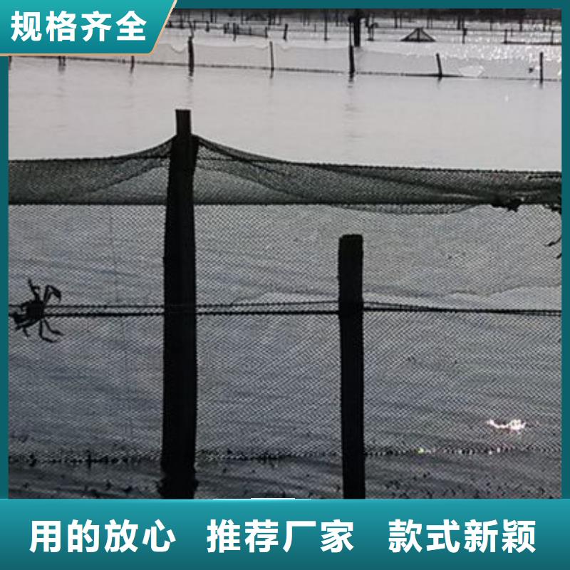 蟹陽(yáng)澄湖大閘蟹幾月份吃常年出售