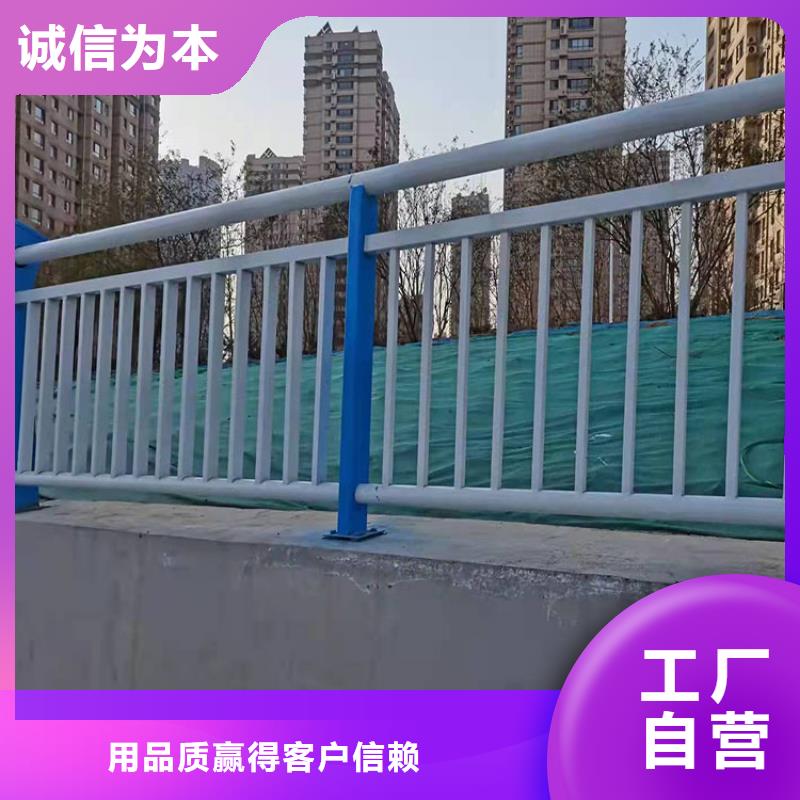 实力雄厚的公路桥梁护栏厂家