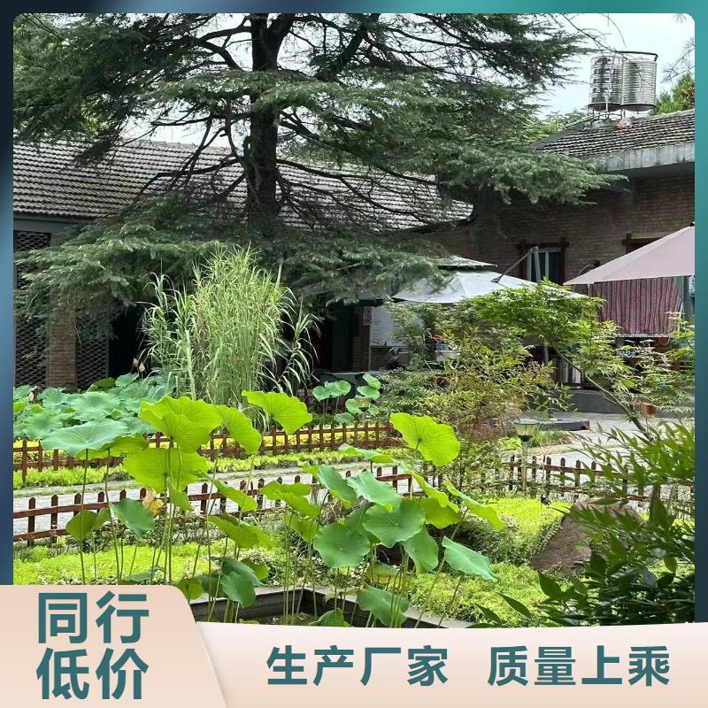 乡村自建房屋设计图一层销售轻钢龙骨房屋建造设计