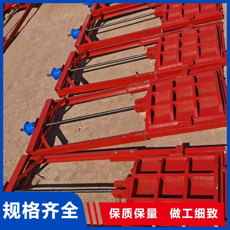 鑄鐵鑲銅閘門-平面鋼閘門防腐鋼制閘門一站式