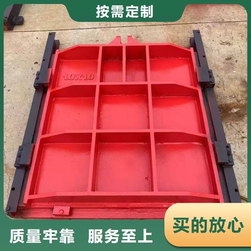 啟閉機(jī)閘門(mén)-平面鋼閘門(mén)防腐鋼制閘門(mén)品質(zhì)卓越