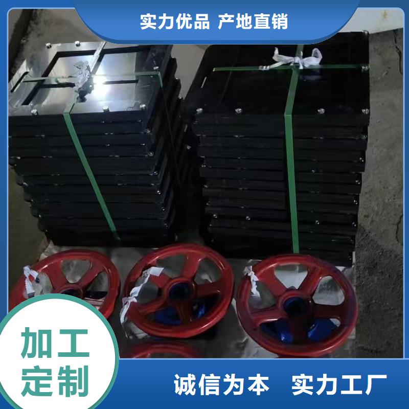 鑲銅鑄鐵閘門_平面閘門帶直聯(lián)啟閉機[價格廠家]