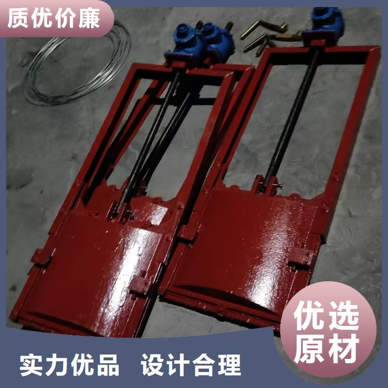 鑄鐵鑲銅閘門-電動鑄鐵閘門雙向受壓終身維護
