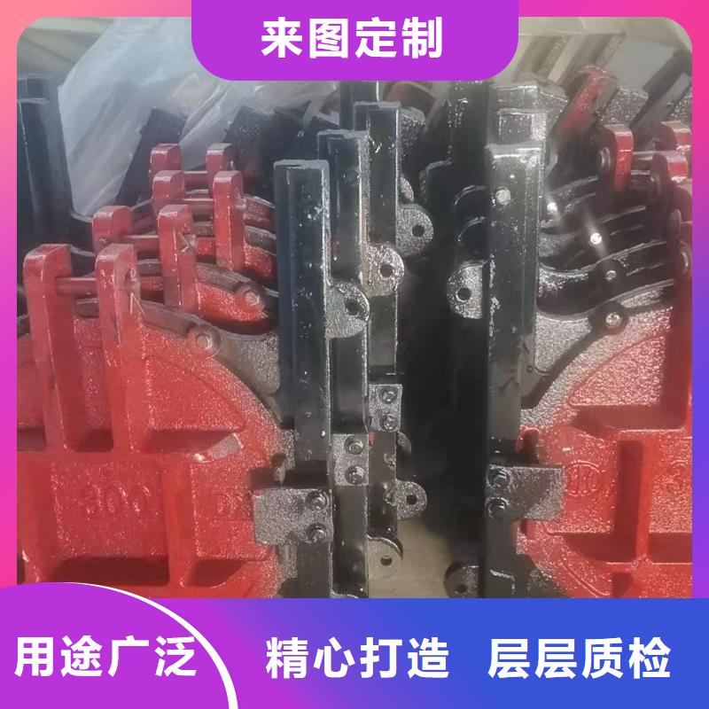 铸铁闸门-PZ双向止水铸铁镶铜闸门口碑极佳
