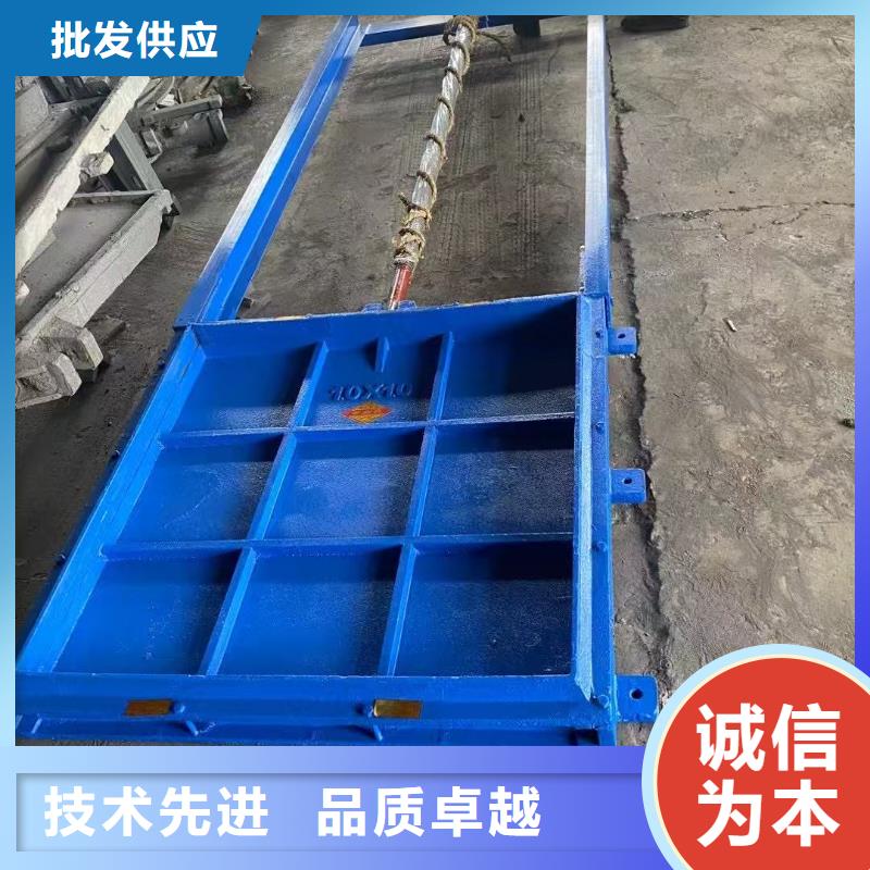 定安縣鑄鐵閘門-p型止水帶閘門水封老牌