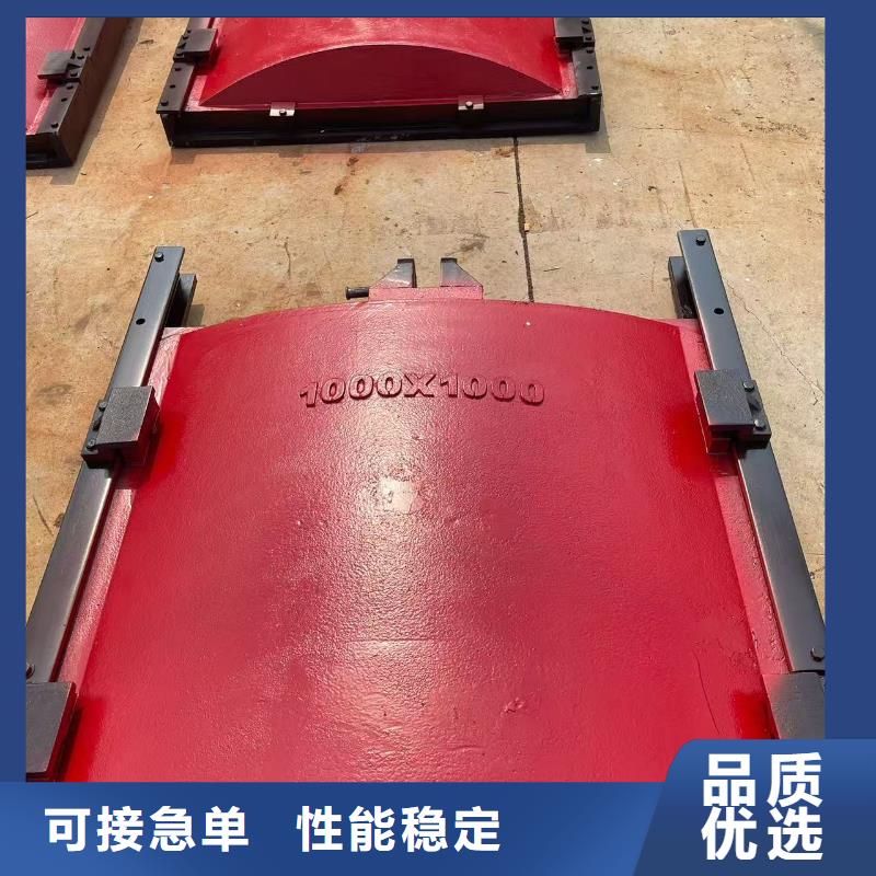 閘門啟閉機(jī)-p型止水帶閘門水封老品牌
