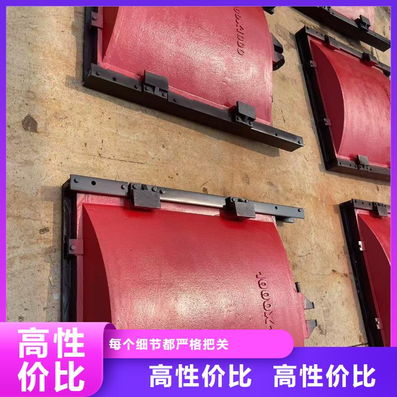 鑄鐵閘門-p型止水帶閘門水封創(chuàng)新