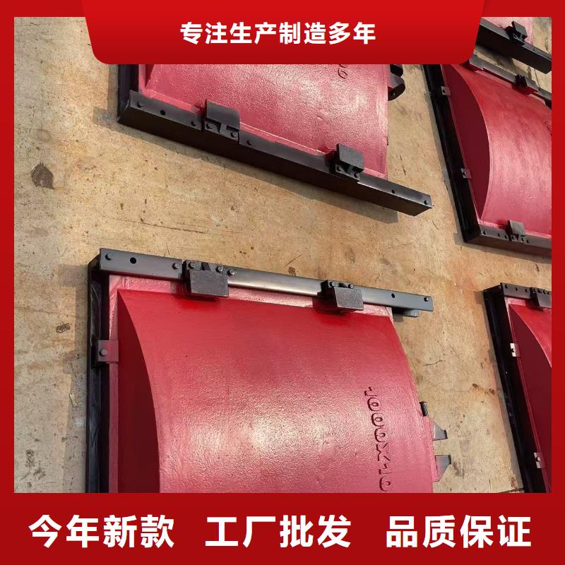 鑲銅鑄鐵閘門驗貨合格