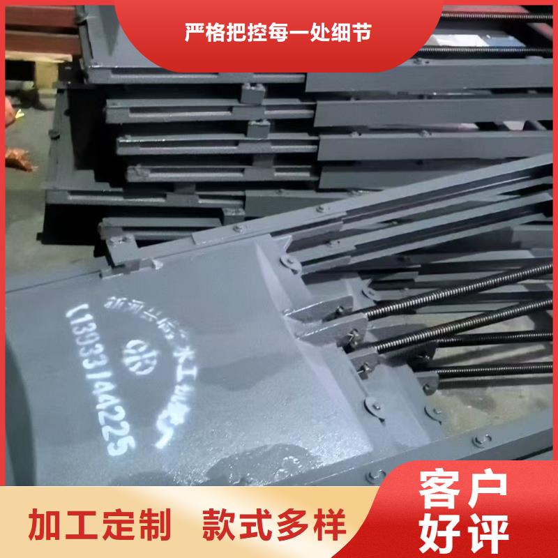 啟閉機(jī)閘門-閘門啟閉器值得信賴