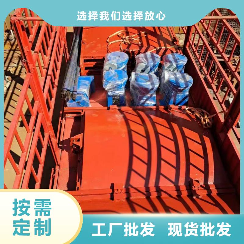 鑲銅鑄鐵閘門-質(zhì)量保證