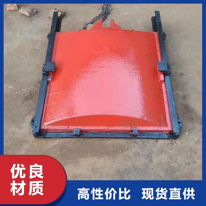 渠道閘門-雙向轉(zhuǎn)動(dòng)閘門性價(jià)比高