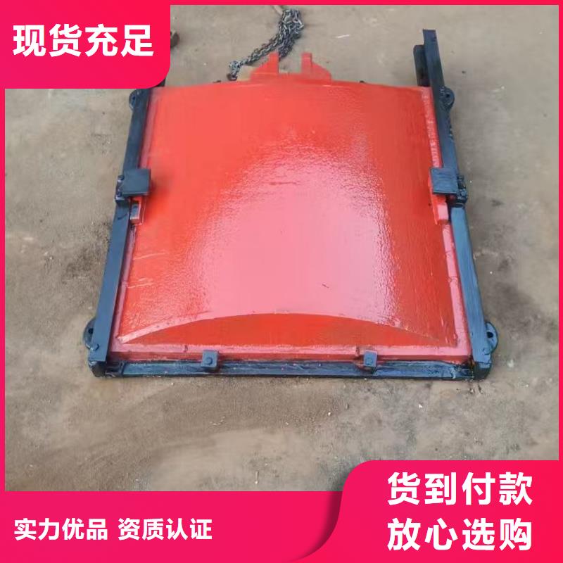 臨淄區(qū)機(jī)門一體鑄鐵閘門
