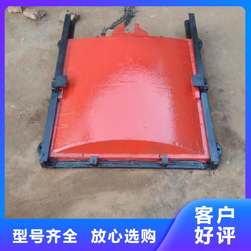 鑄鐵鑲銅閘門-pz平板平面鑄鐵閘門定制化
