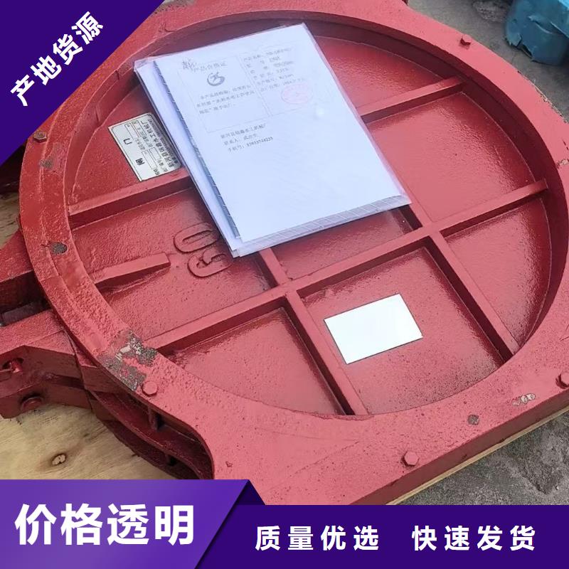 啟閉機(jī)閘門-墻式鑲銅鑄鐵閘門性價(jià)比高