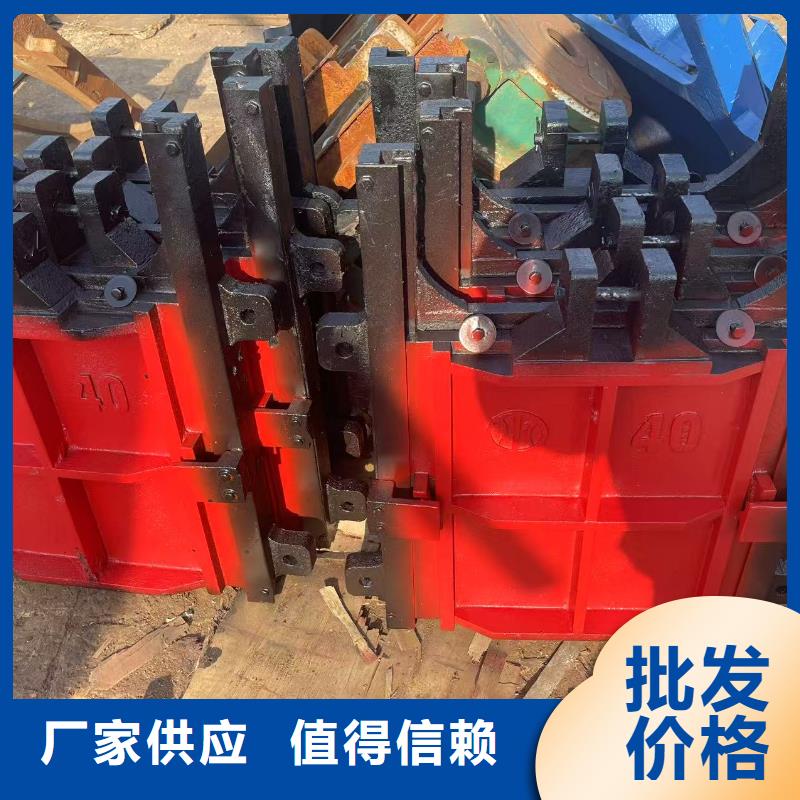 啟閉機(jī)閘門-墻式鑲銅鑄鐵閘門性價(jià)比高