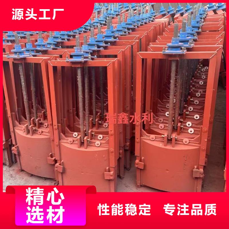 專業(yè)銷售直聯(lián)式螺桿啟閉機(jī)止水閘門-大型廠家
