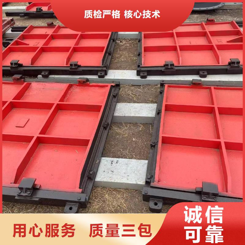 啟閉機(jī)閘門-墻式鑲銅鑄鐵閘門性價(jià)比高