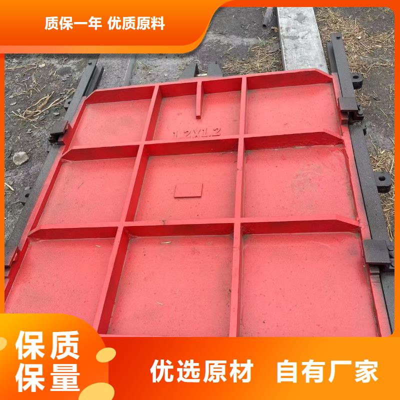 鑄鐵閘門-雙向轉(zhuǎn)動閘門信譽良好