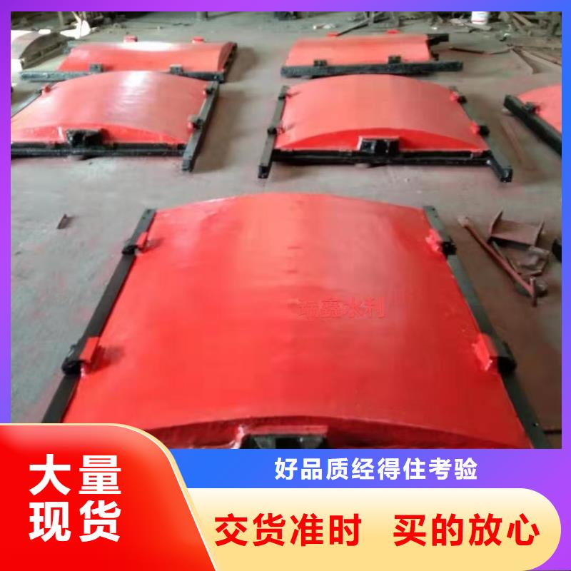 啟閉機閘門-平面閘門帶直聯(lián)啟閉機品質(zhì)卓越