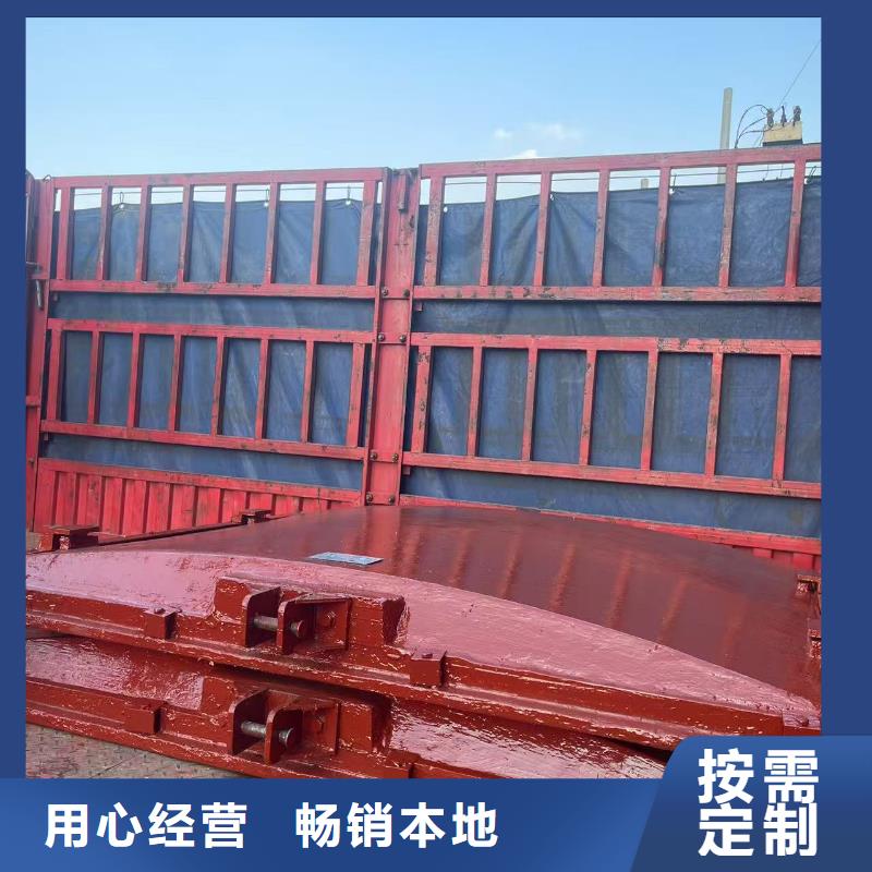 启闭机闸门-双向铸铁镶铜闸门口碑极佳