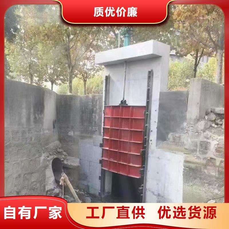 景觀大型閘門廠家直銷-誠信經(jīng)營