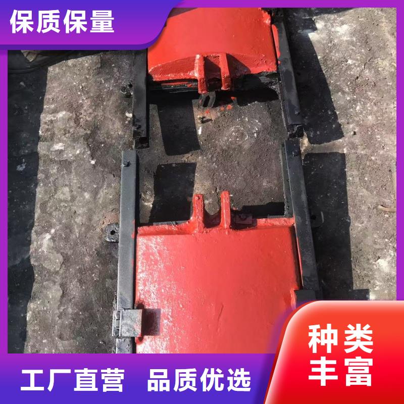 雙向鑄鐵鑲銅閘門(mén)廠(chǎng)家實(shí)力雄厚