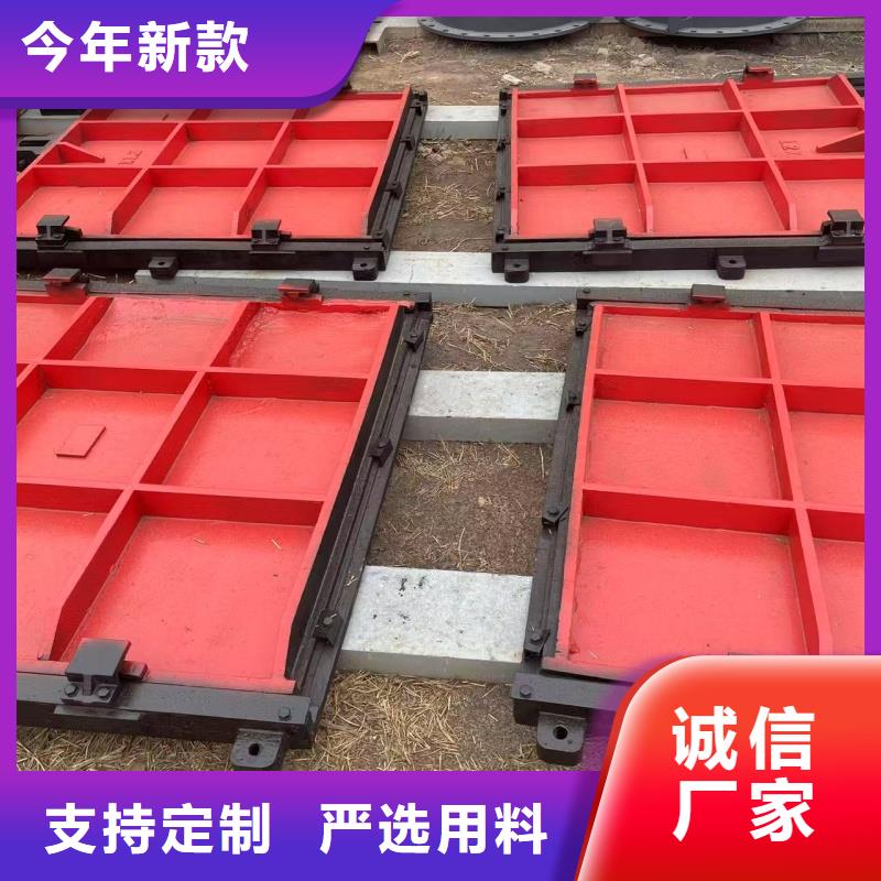 找鑲銅雙向鑄鐵閘門【無(wú)中間商】