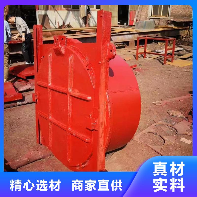 供應(yīng)水利工程拍門_優(yōu)質(zhì)廠家