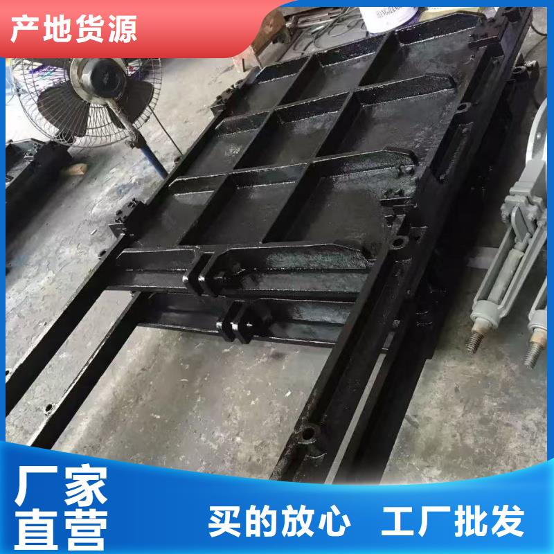 PZ雙向止水鑄鐵鑲銅閘門發(fā)貨及時(shí)