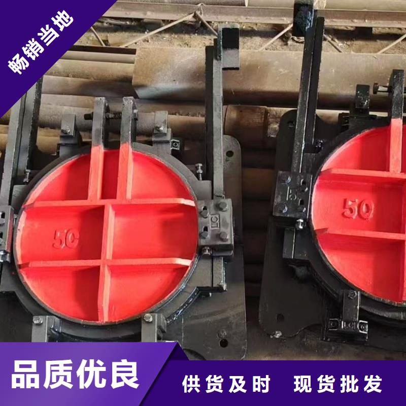 供應(yīng)水利工程拍門_優(yōu)質(zhì)廠家