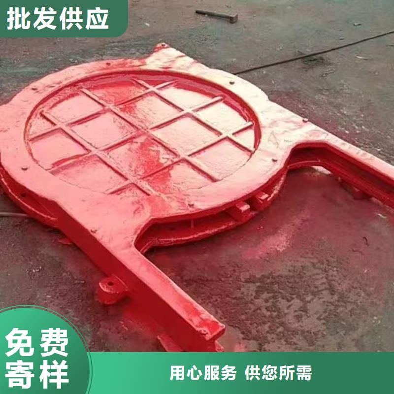 鑄鐵鑲銅附壁閘門