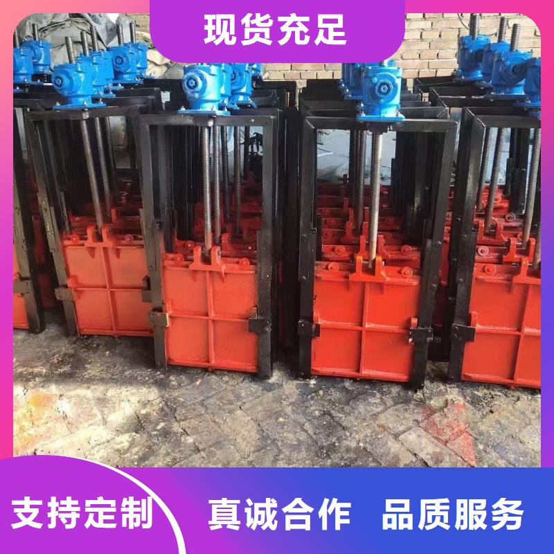 閘門鑄鐵鑲銅附壁閘門源頭廠家供應(yīng)