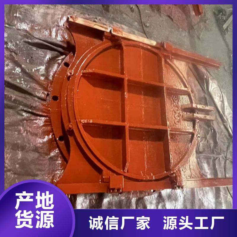 鑄鐵閘門_認(rèn)準(zhǔn)瑞鑫水利