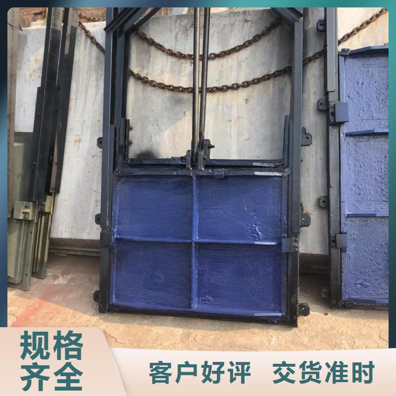 渠道閘門-水電站閘門快速響應