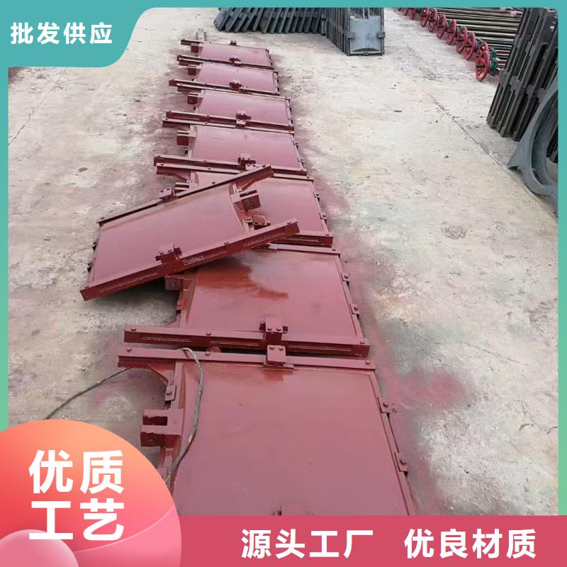 銅止水鑄鐵閘門板品牌廠家