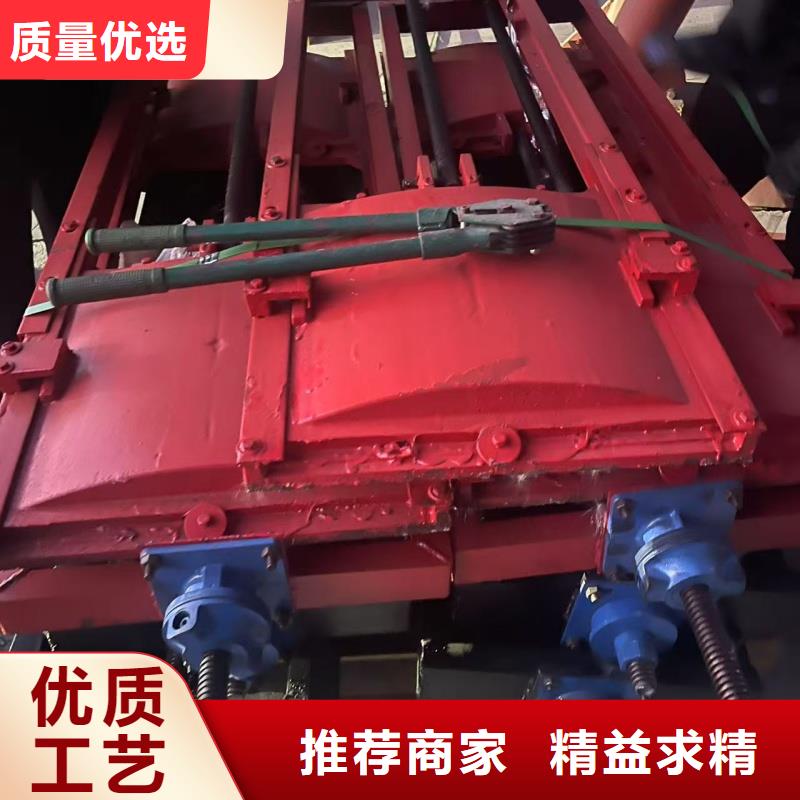 閘門pz止水鑄鐵閘門用心經(jīng)營