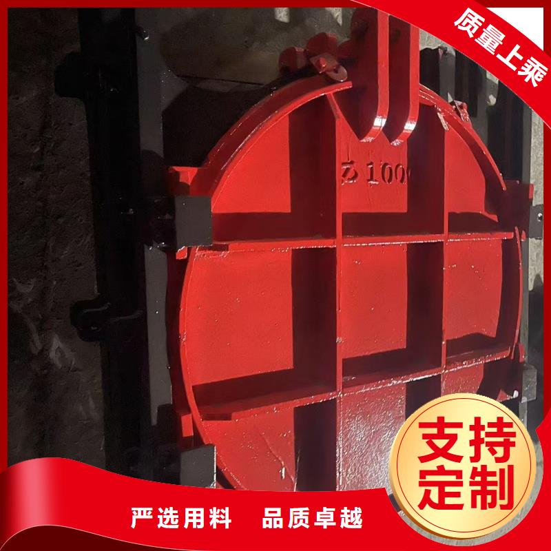 雙向鑄鐵鑲銅閘門(mén)廠(chǎng)家實(shí)力雄厚