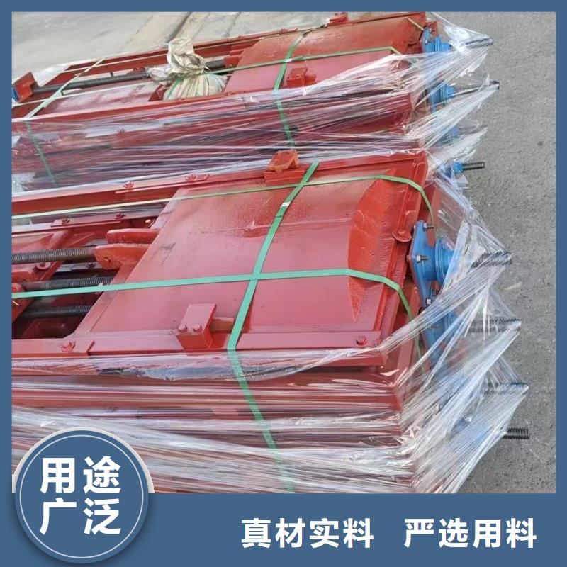 發(fā)貨速度快的直聯(lián)式螺桿啟閉機(jī)止水閘門廠家