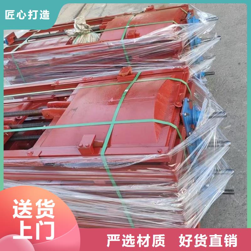 鑄鐵鑲銅閘門-河道鑄鐵閘門老牌