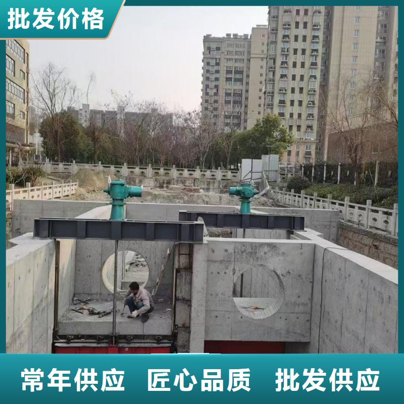 PZ雙向止水鑄鐵鑲銅閘門發(fā)貨及時(shí)