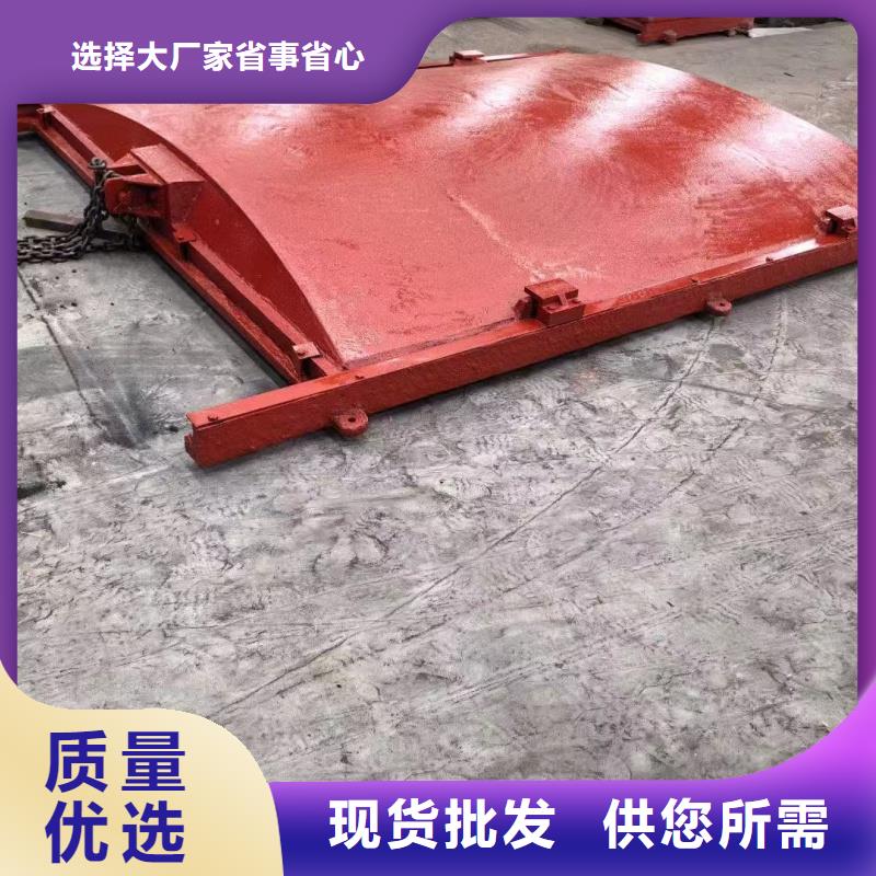 閘門(mén)啟閉機(jī)鑄鐵閘門(mén)用的放心