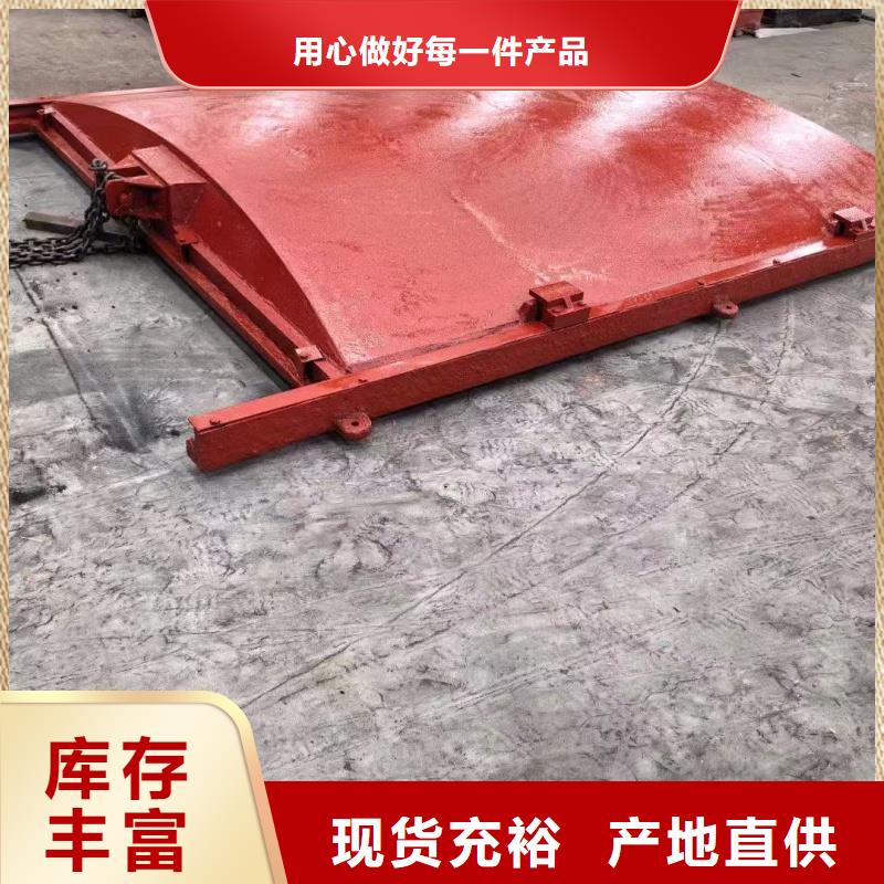 銅止水鑄鐵閘門板品牌廠家