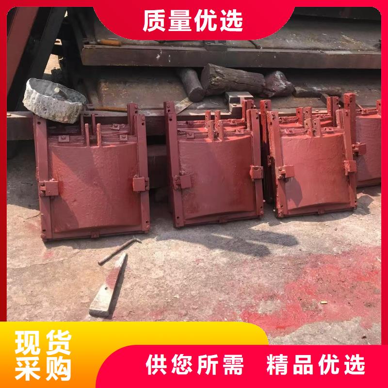 山東雙向止水鑄鐵閘門一站式服務(wù)