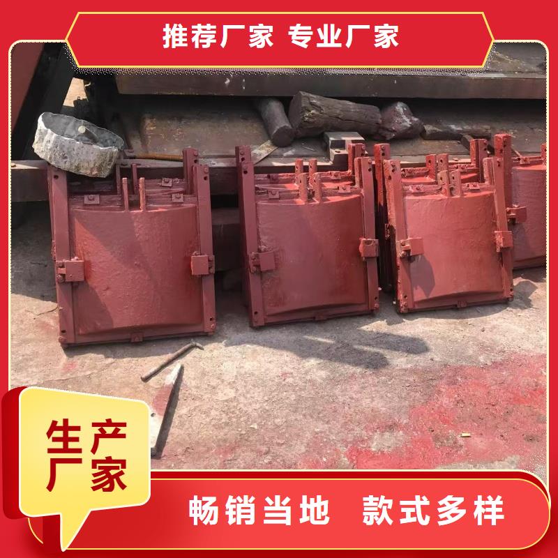 電動(dòng)鑄鐵閘門雙向受壓-值得購買