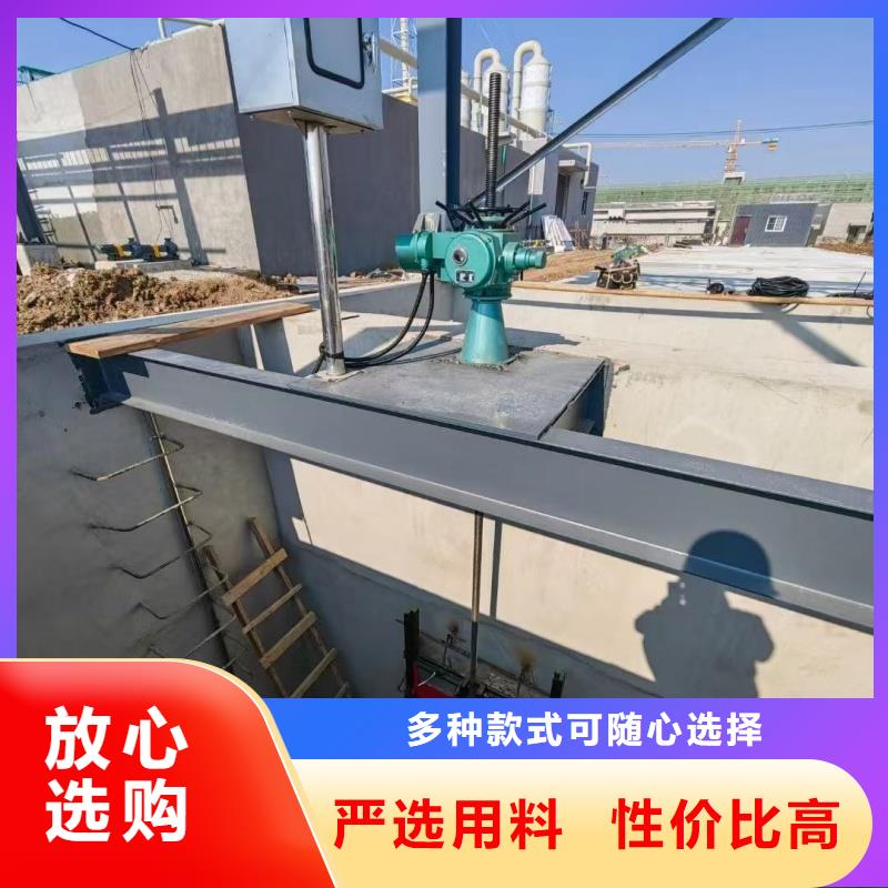 閘門pz機(jī)閘一體式鑄鐵閘門就近發(fā)貨