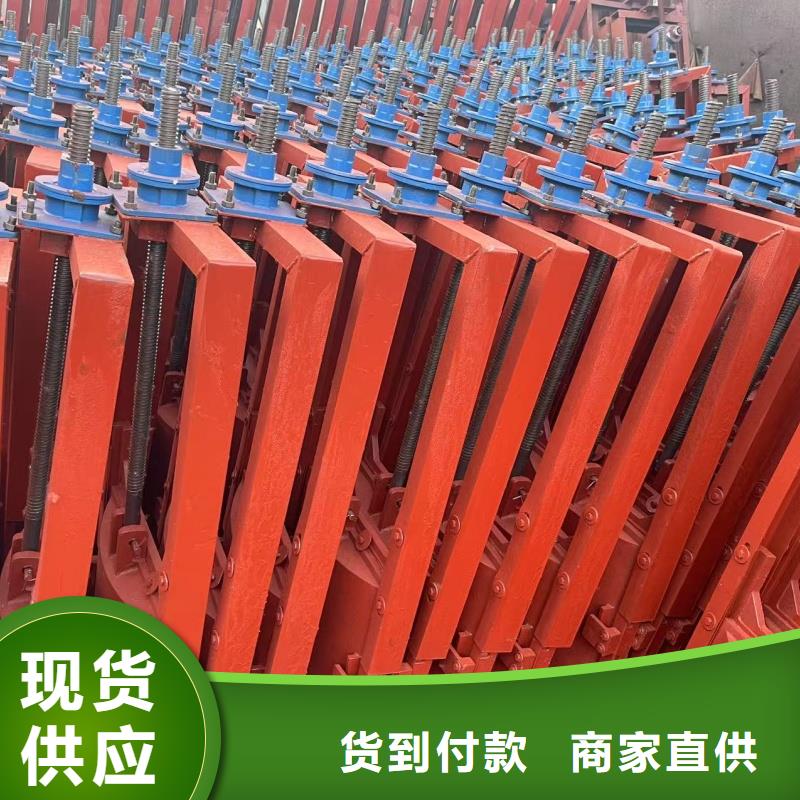 啟閉機(jī)閘門-機(jī)閘一體鑄鐵閘門高品質(zhì)