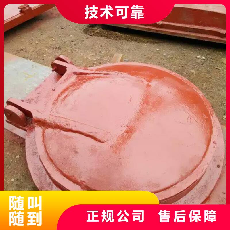 止水拍门质量上乘