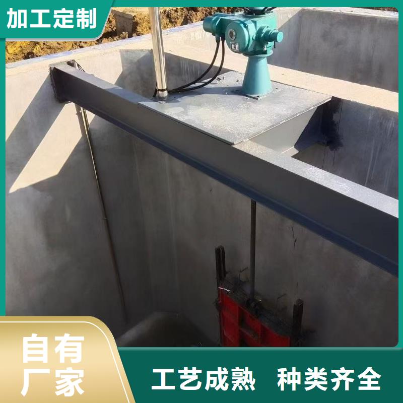 啟閉機(jī)QL型手電兩用雙吊點(diǎn)啟閉機(jī)生產(chǎn)基地