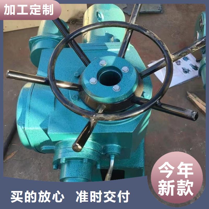 啟閉機-QDA30手電兩用螺桿式啟閉機實拍品質(zhì)保障